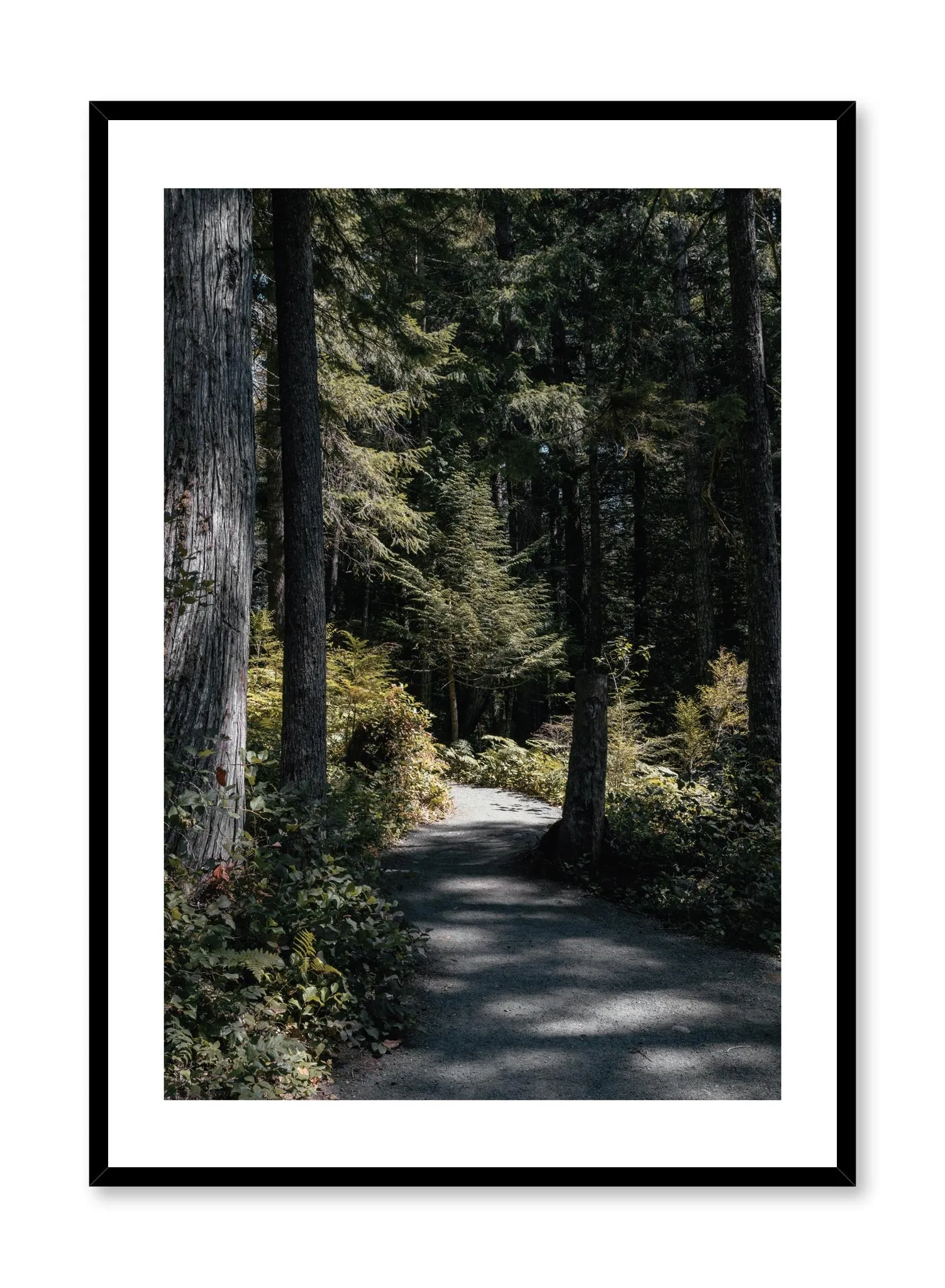 Bright Days, Poster