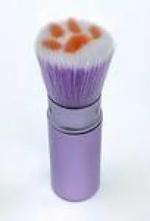 Cat Paw Lint Brush