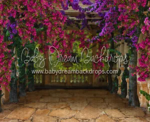 Fiesta Magic Path (CC)