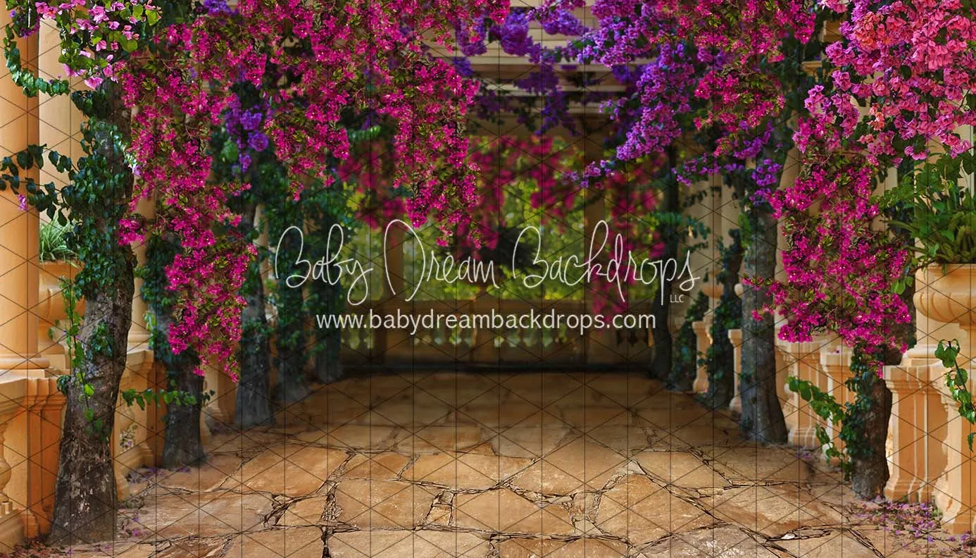 Fiesta Magic Path (CC)