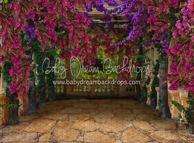 Fiesta Magic Path (CC)