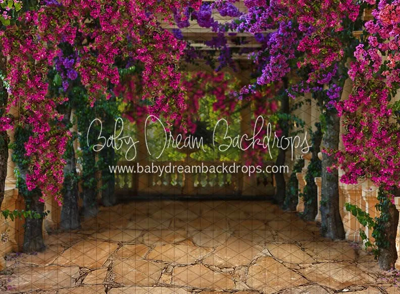 Fiesta Magic Path (CC)