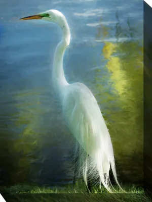 POISED PATIENCE by West of the Wind | Waterproof Outdoor Wall Art