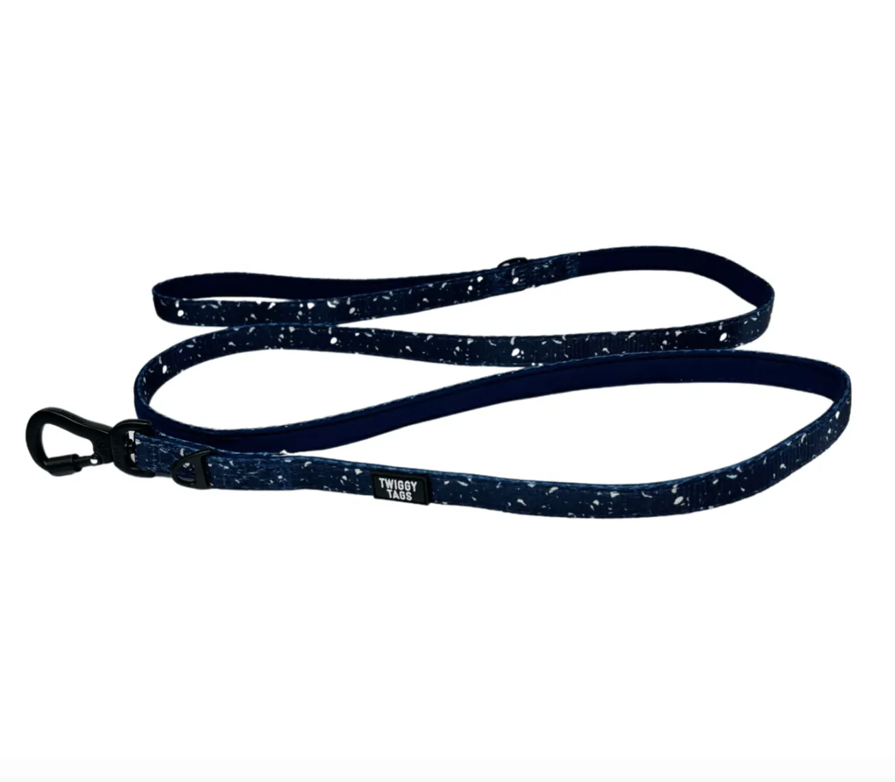 Twiggy Tags Adventure Lead Galactic